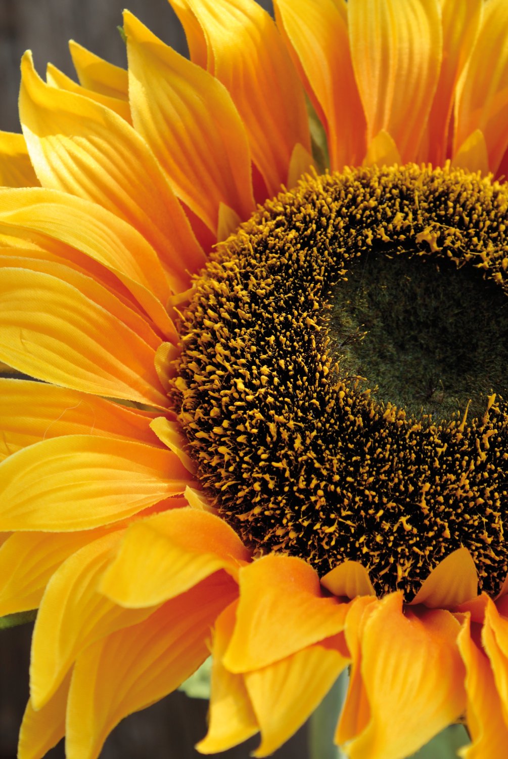 Künstliche Sonnenblume, 100 cm, gelb