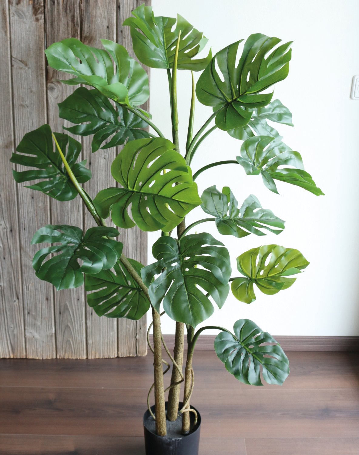 Fake monstera (swiss cheese plant), potted, 120 cm, green