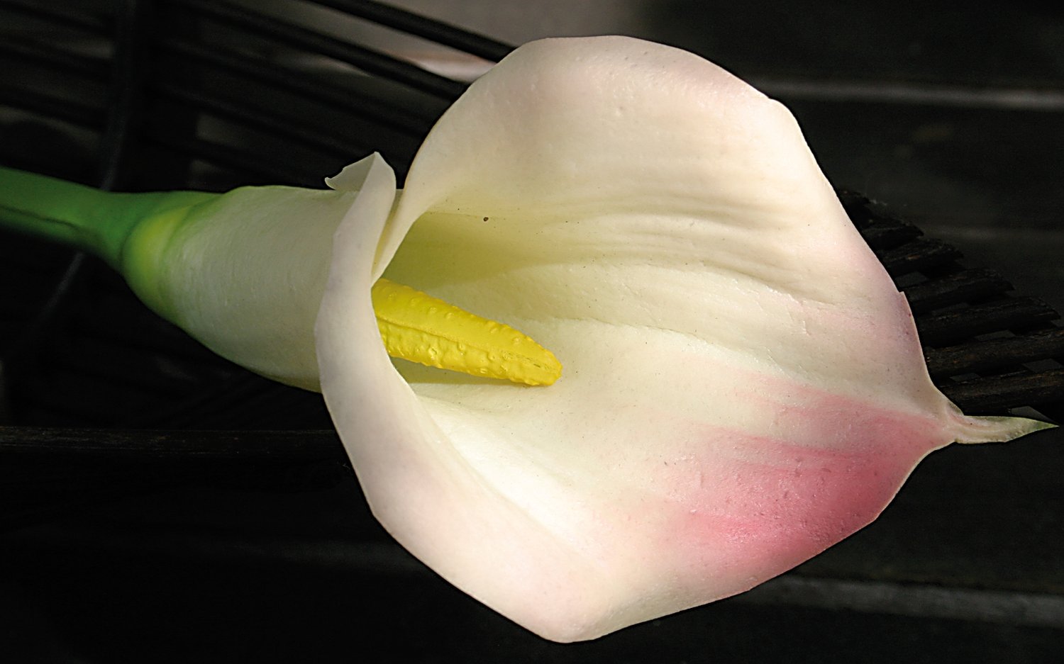 Künstliche Calla, 68 cm, Real Touch Soft, weiß-rosa