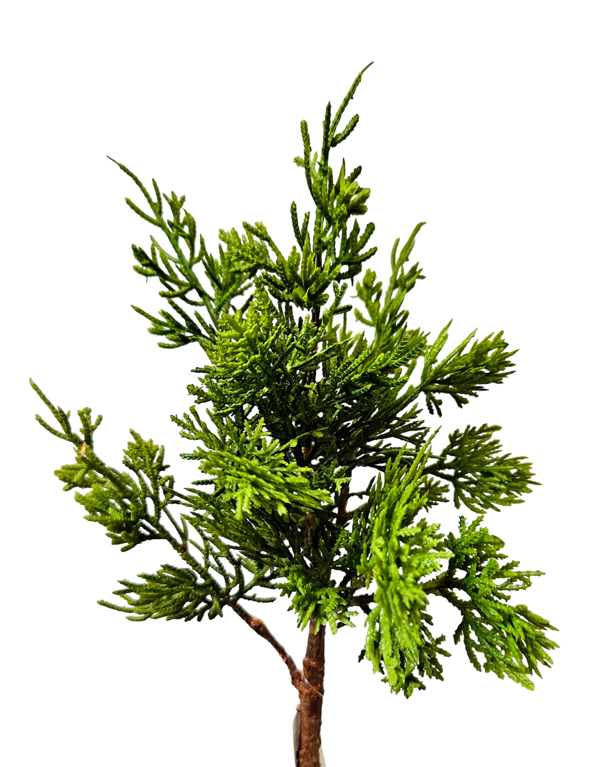 Fake Koniferenzweig, 56 cm, grün