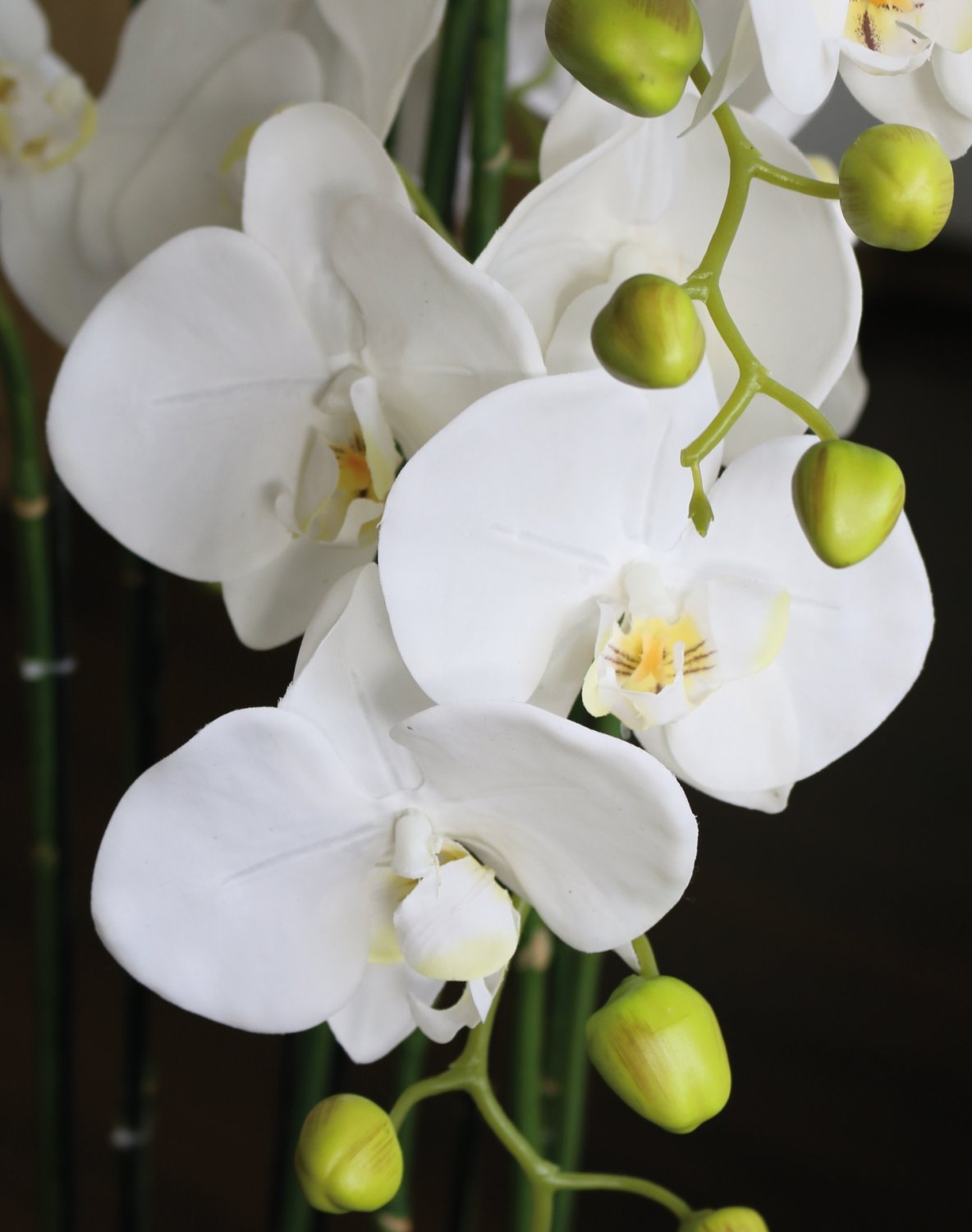 Künstliche Orchidee Phalaenopsis in 'Erde', 9-fach, 120 cm, Real Touch, weiß