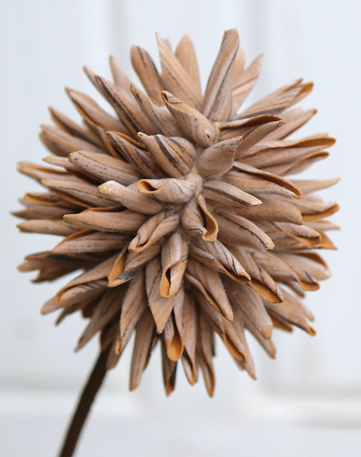 Artificial soft flower 'allium', 95 cm, natural