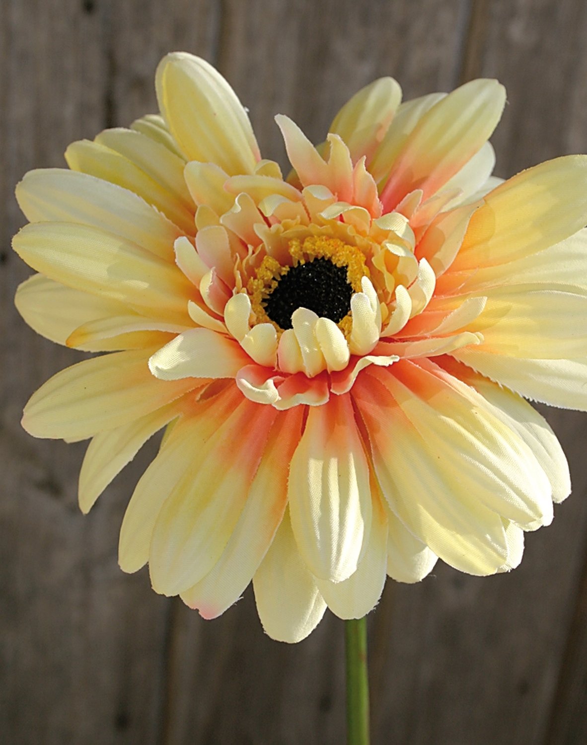 Künstliche Gerbera mit beflocktem Stiel, 55 cm, gelb-orange