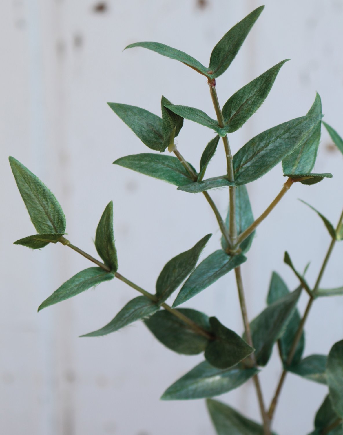 Künstlicher Eukalyptuszweig, 56 cm, grün