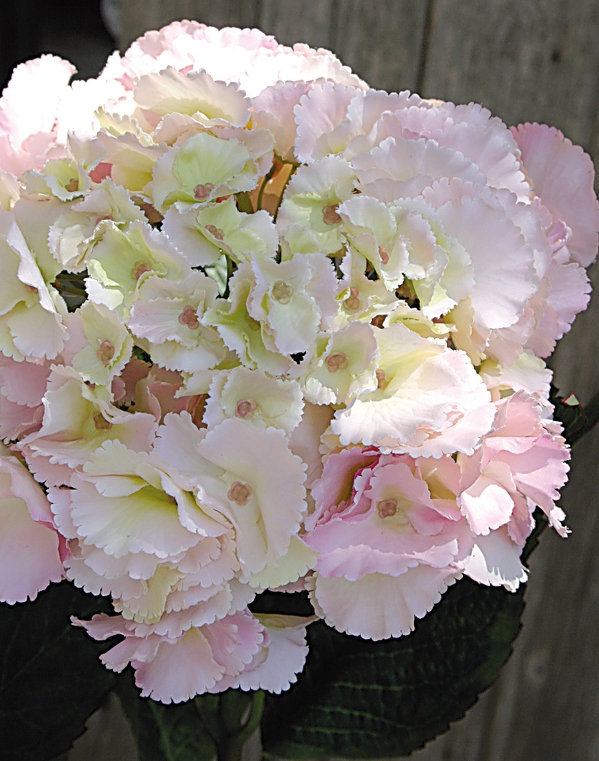 Faux hydrangea, 70 cm, pink-green