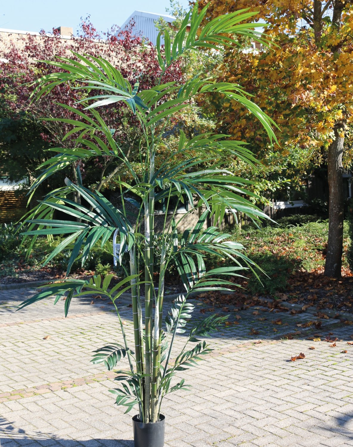 Künstliche Kentia-Palme, getopft, 270 cm, grün