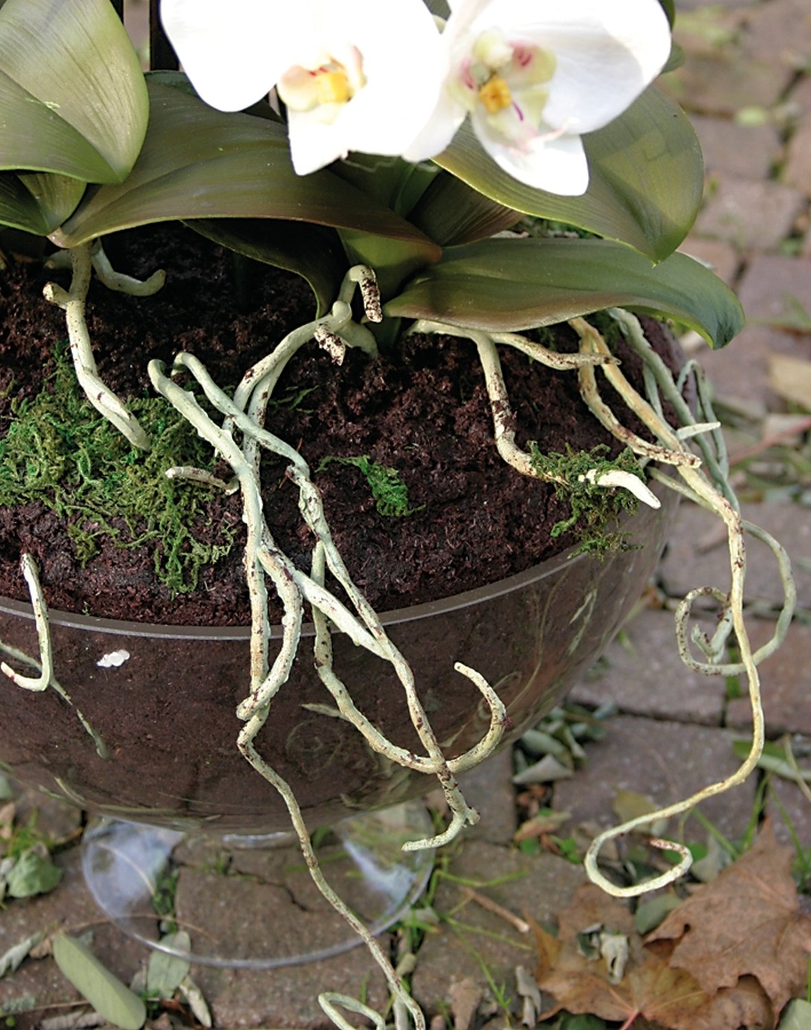 Orchidea Phalaenopsis artificiale in ciotola di vetro, 8 rami, 81 cm, bianco