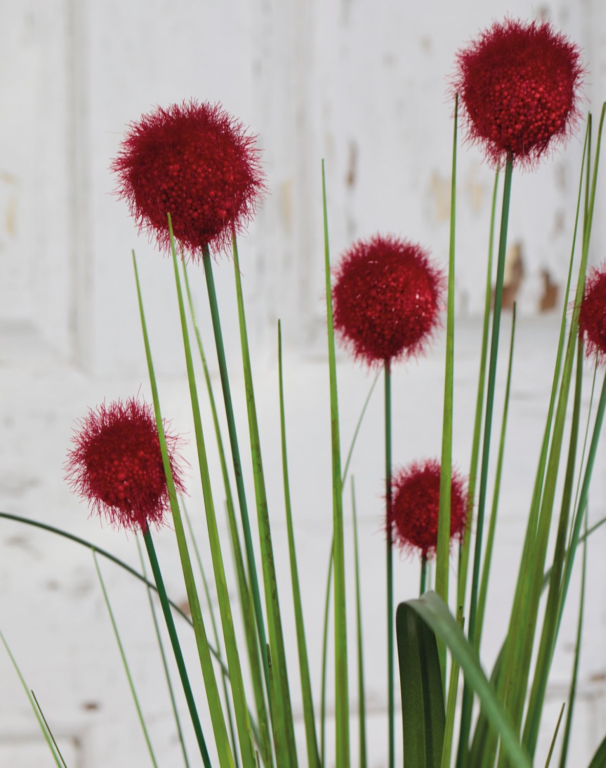 Künstliche Kugelgras, 75 cm, rot