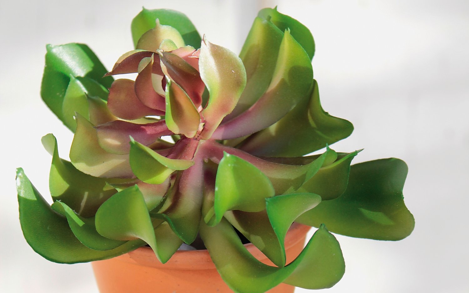 Künstliche Aeonium auf Steckstab, 13 cm, Ø 10 cm, grün