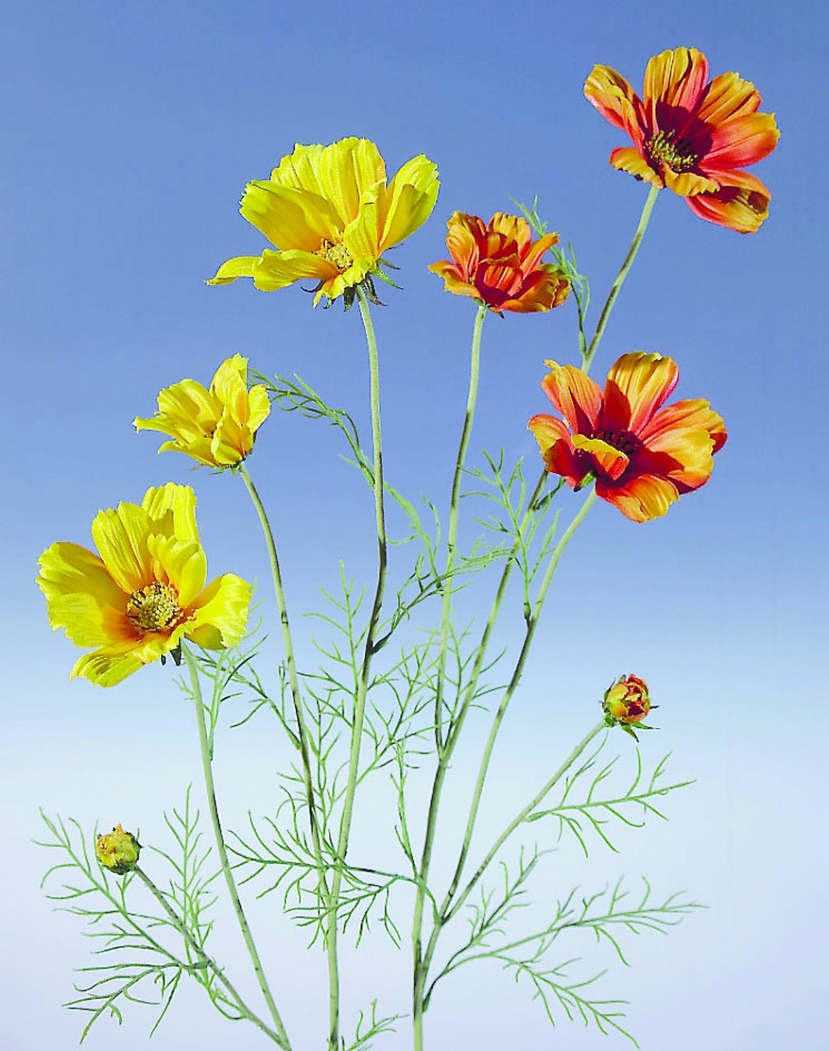 Künstliche Cosmea, 95 cm, gelb