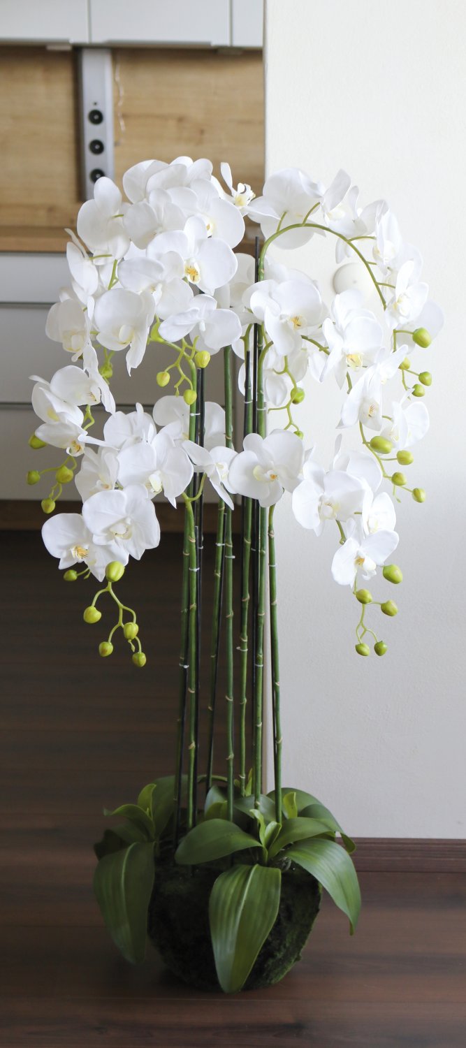 Künstliche Orchidee Phalaenopsis in 'Erde', 9-fach, 120 cm, Real Touch, weiß