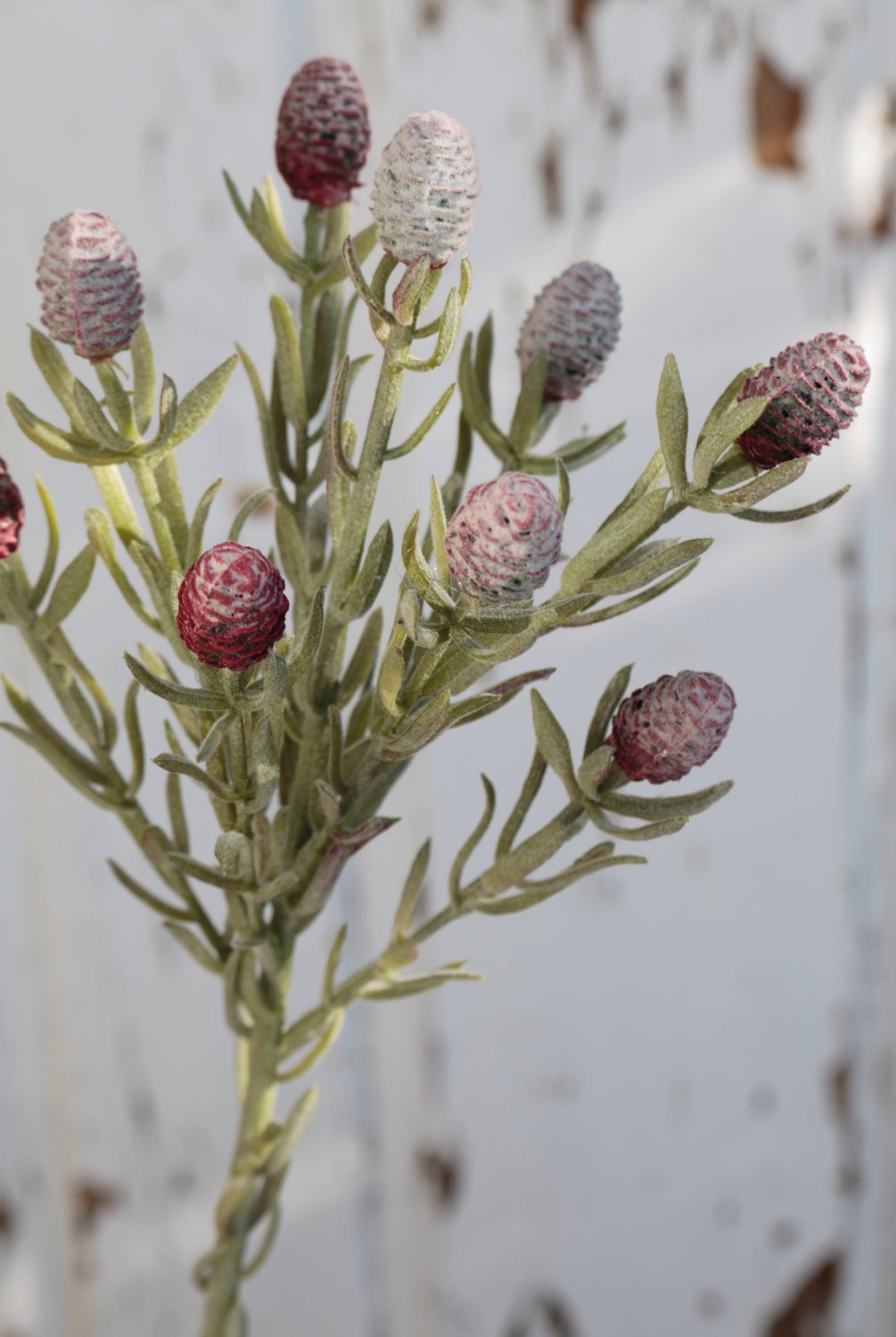 Artificial thistle, 45 cm, red-white