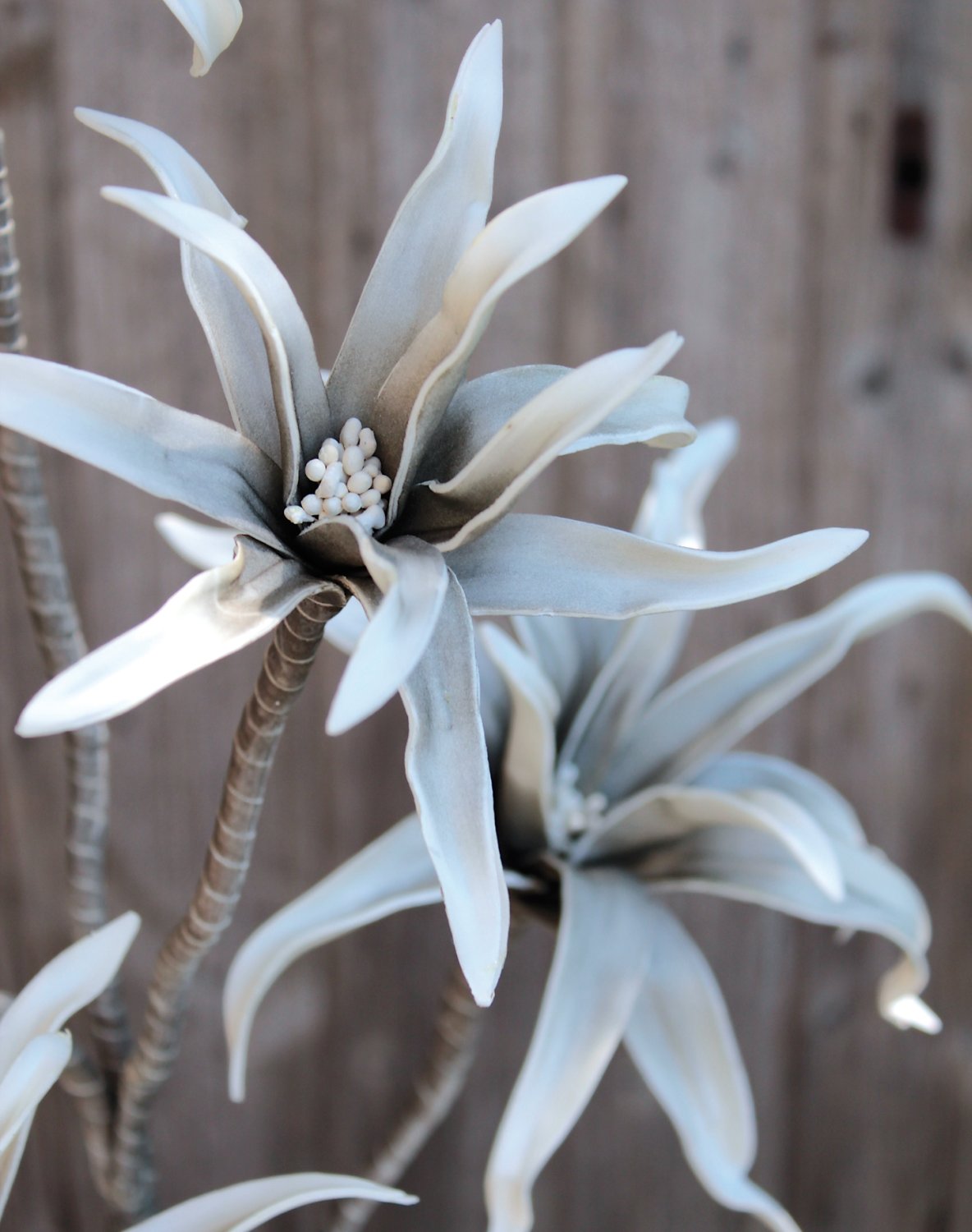 Fiore artificiale Soft 'esotico', 5 fiori, 115 cm, grigio
