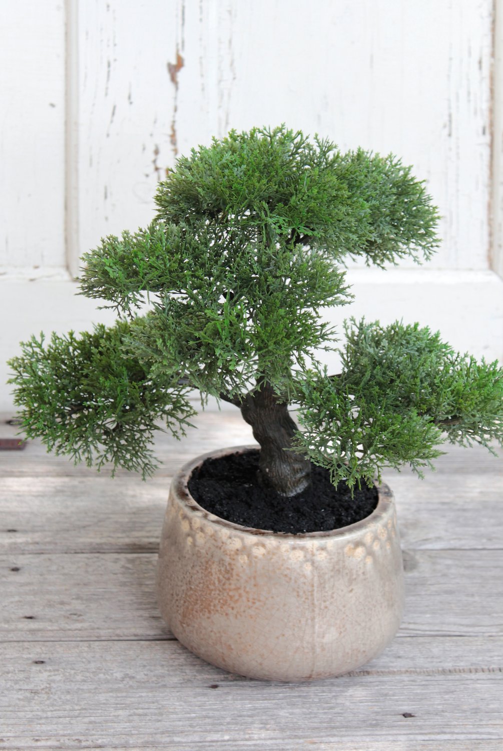 Künstliche Bonsai-Konifere in Keramiktopf, 36 cm, grün