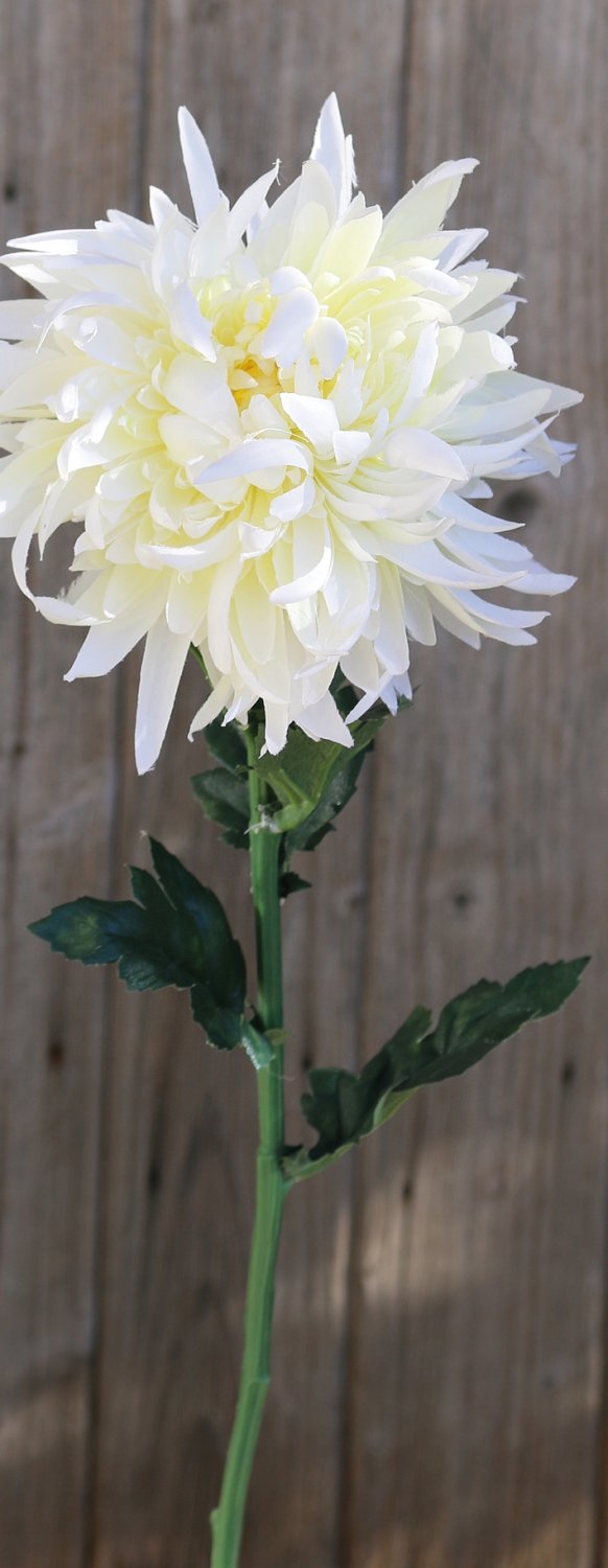 Künstliche Chrysantheme, 62 cm, creme-weiß