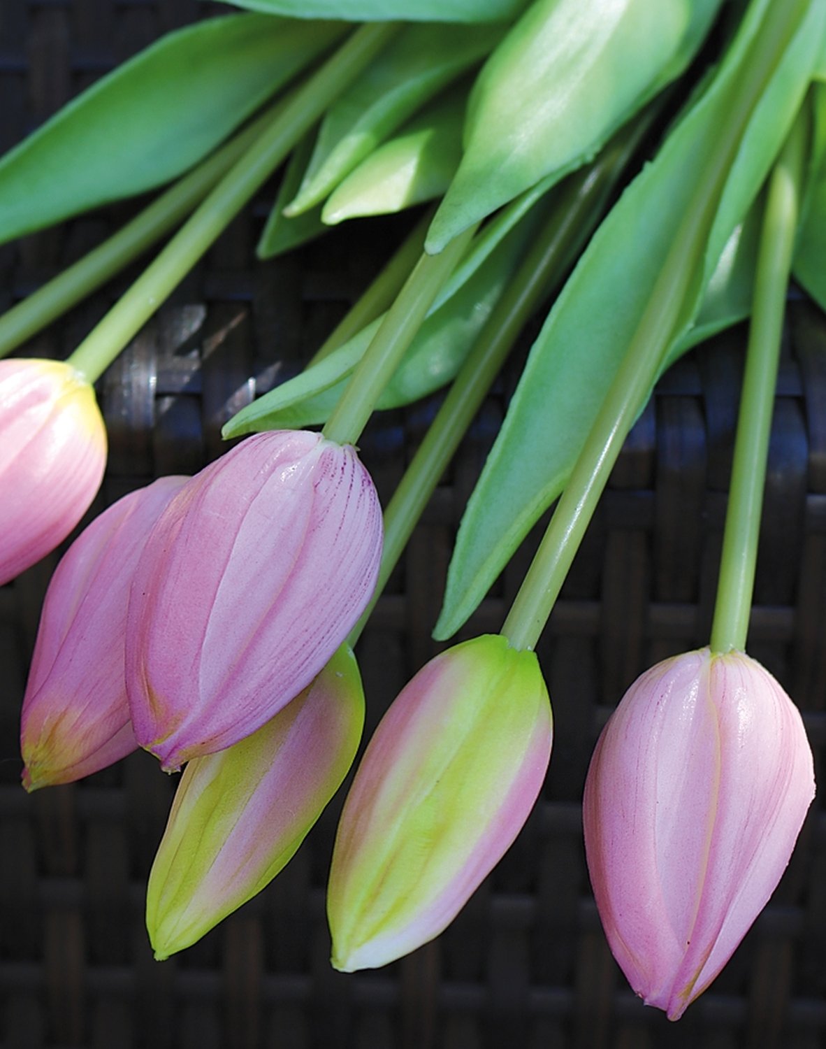 Tulip silk bouquet, 7-fold, 44 cm, real touch, light violet