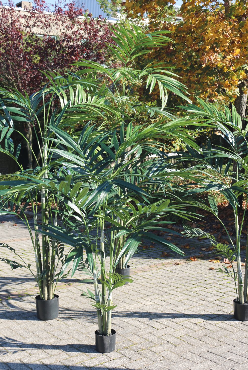 Künstliche Kentia-Palme, getopft, 210 cm, grün