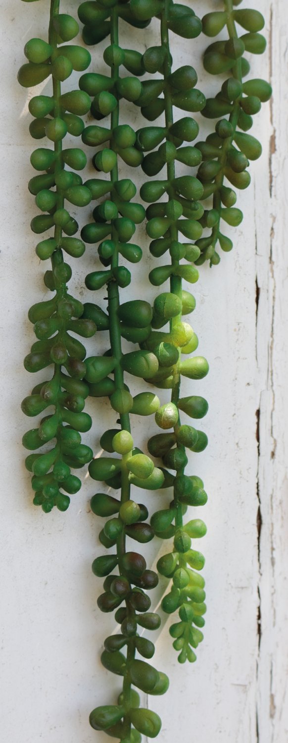 Artificial succulent, hanging, 60 cm, green