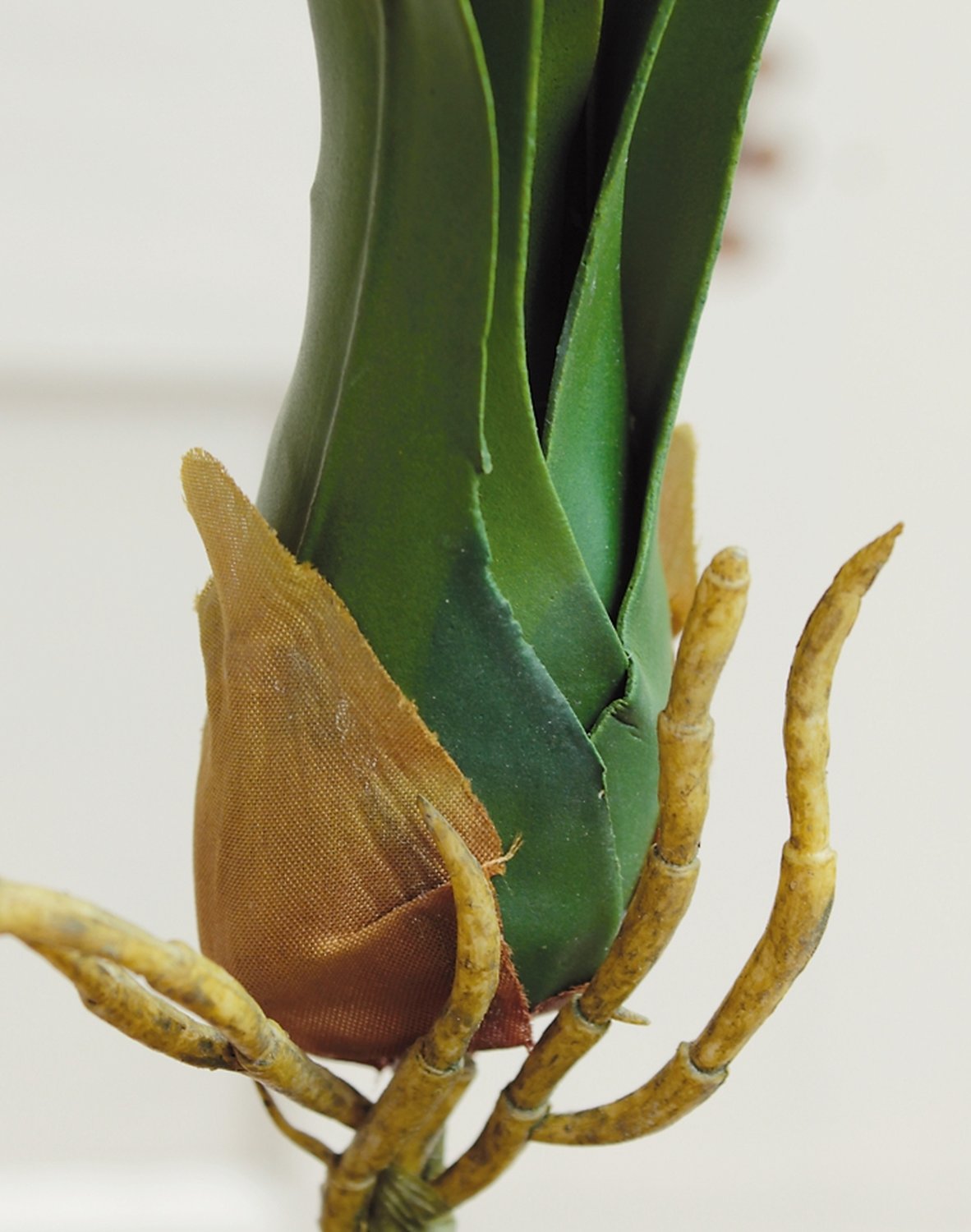 Foglie di orchidea artificiale cymbidium con radice, 6 rami, 69 cm, verde