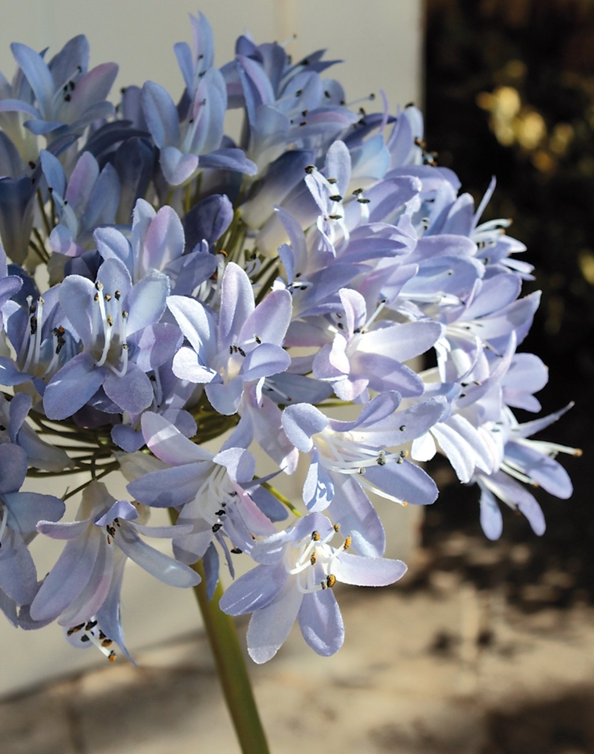 Künstlicher Agapanthus, 102 cm, hellviolett-dunkelviolett