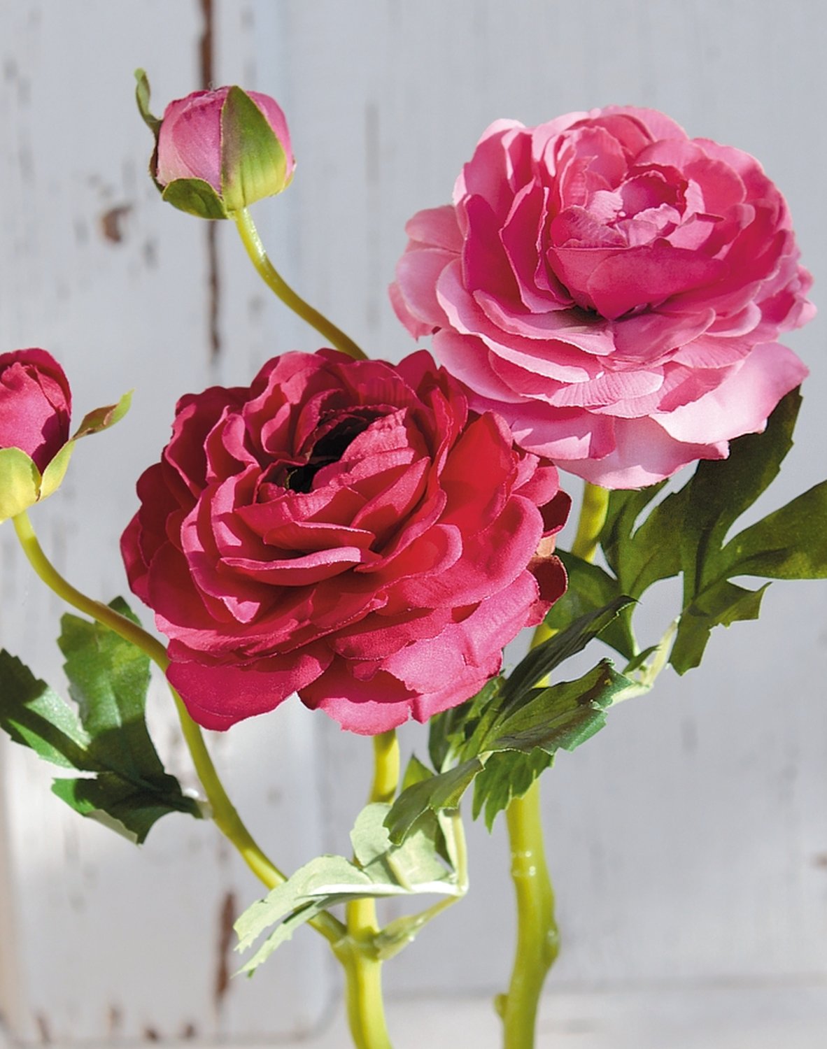 Künstliche Ranunkel, 1 Blüten, 1 Knospen, 32 cm, pink