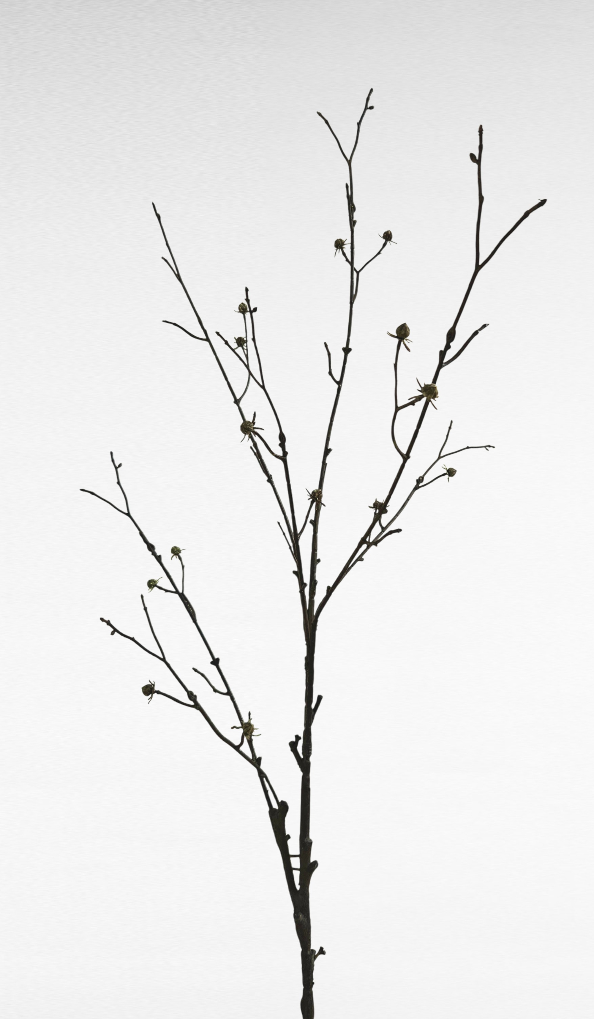 Artificial pine stem, 93cm, green