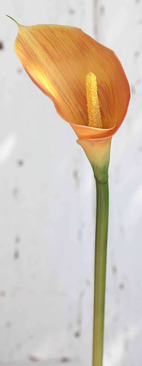 Künstliche Calla, 70 cm, Real Touch, orange