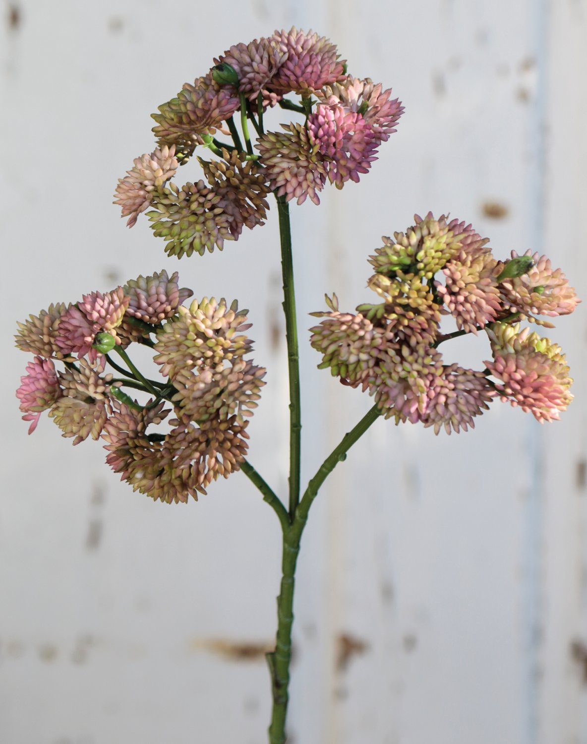 Künstlicher Sedumzweig, 32 cm, rosa-grün