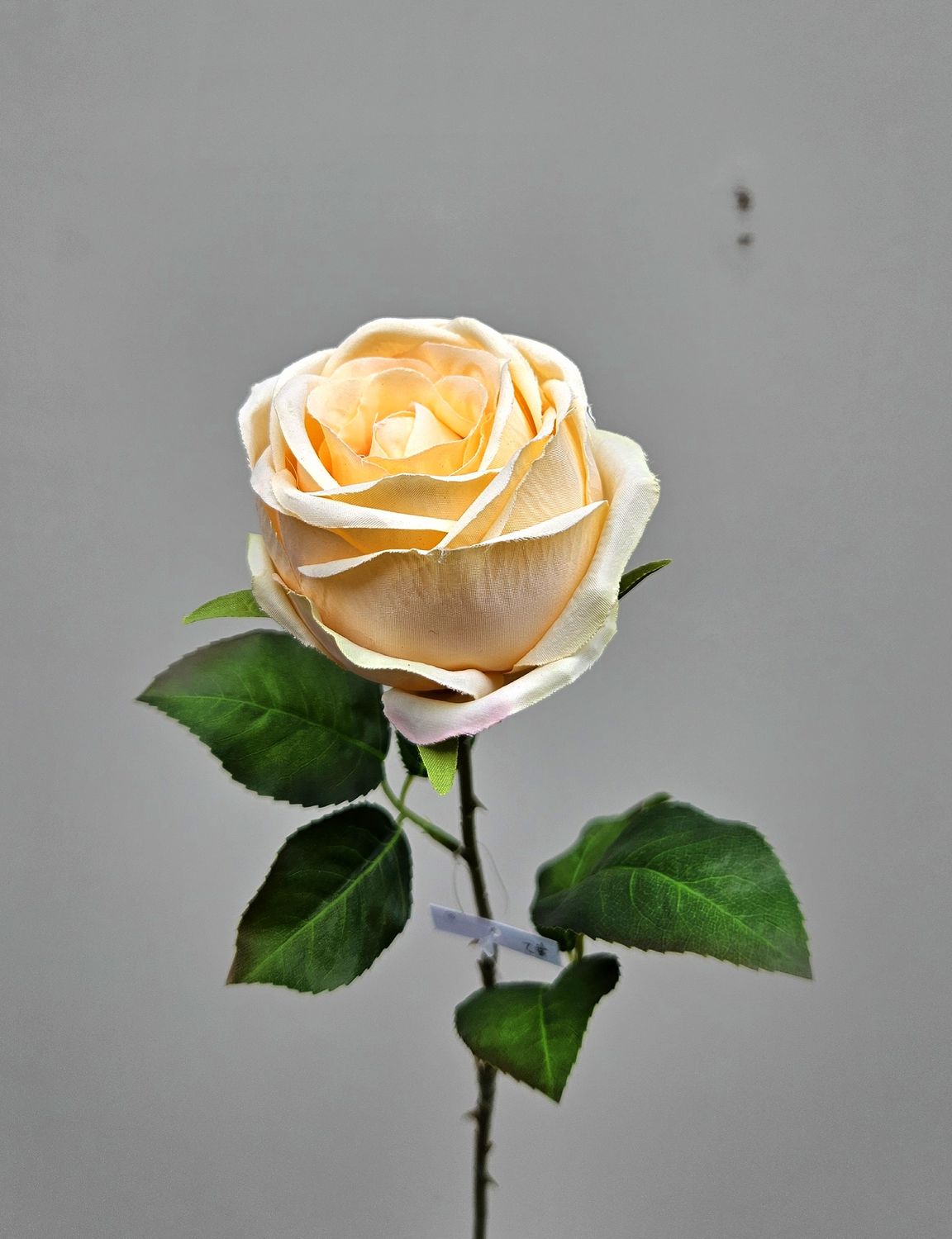 Englische Kunstrose, 66 cm, creme-gelb Englische Kunstrose, 66 cm, creme-gelb