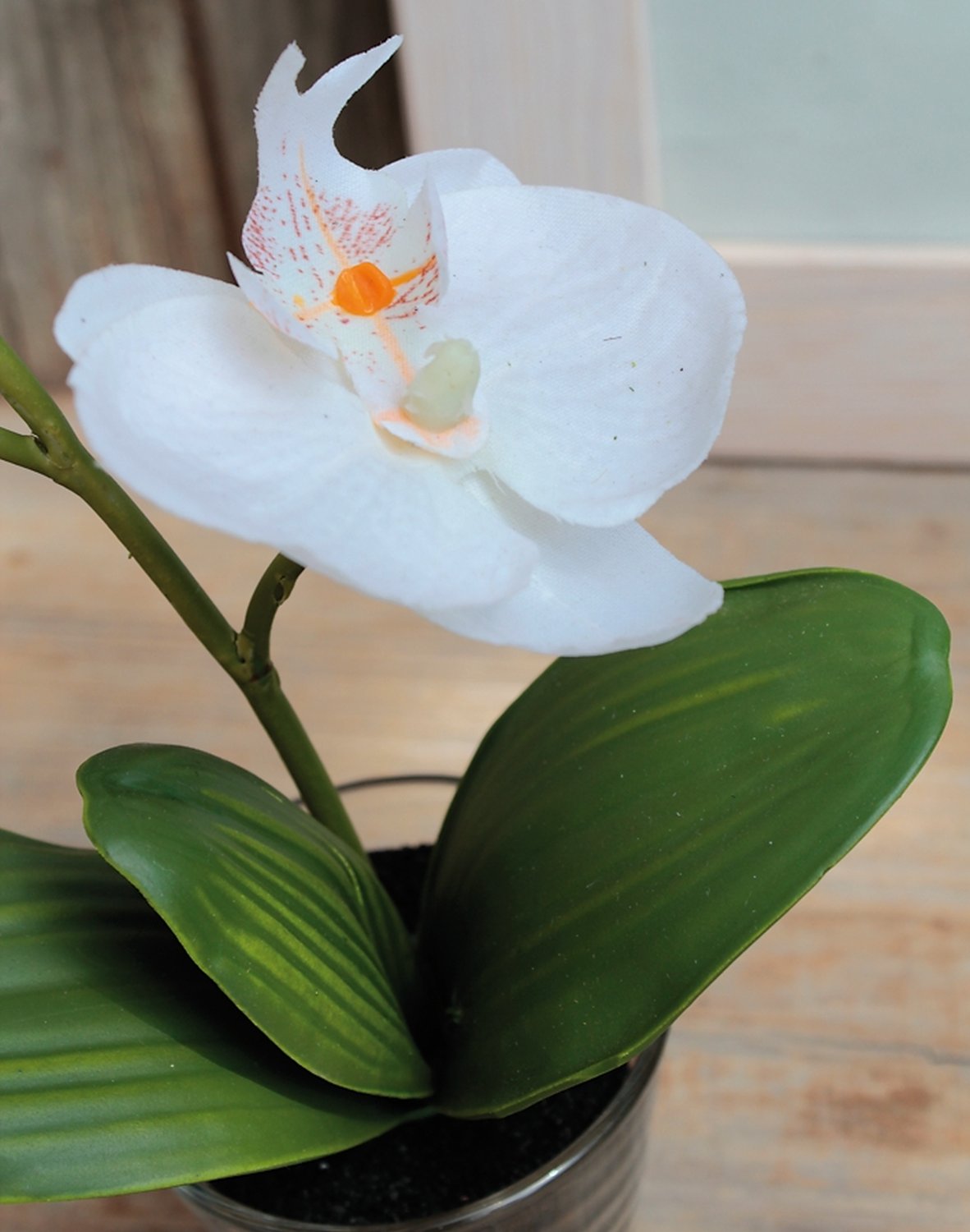 Künstliche Orchidee Phalaenopsis in Glasgefäß, 24 cm, creme-weiß