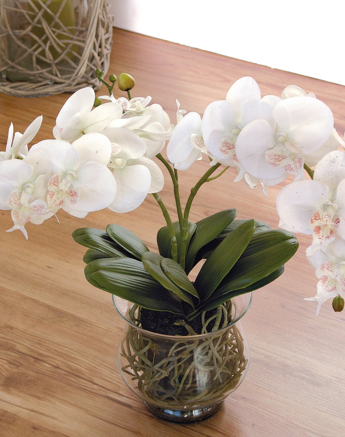 Künstliche Orchidee Phalaenopsis in Glasgefäß, 58 cm, Real Touch, creme-weiß
