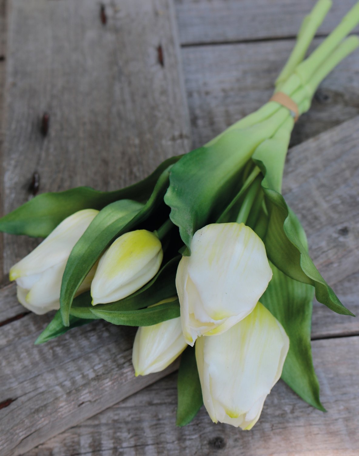 Mazzo di tulipani artificiali, 5 fiori, 28 cm, bianco-verde