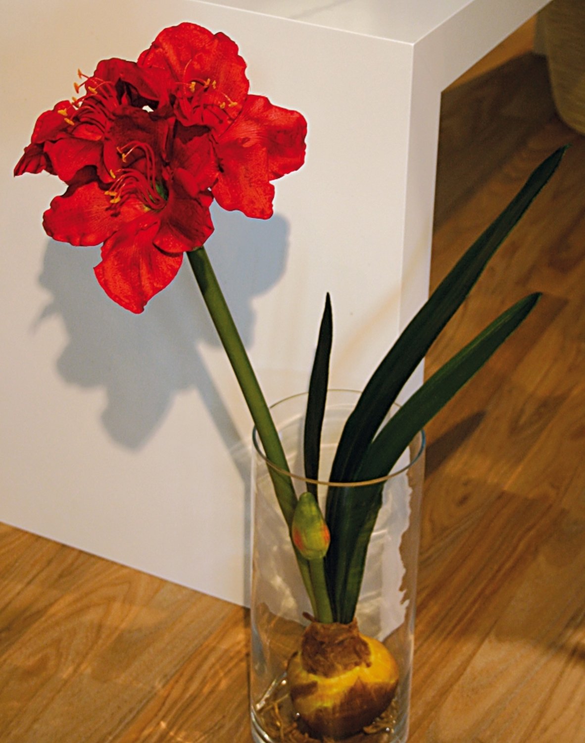 Künstliche Amaryllis mit Zwiebel, 80 cm, rot