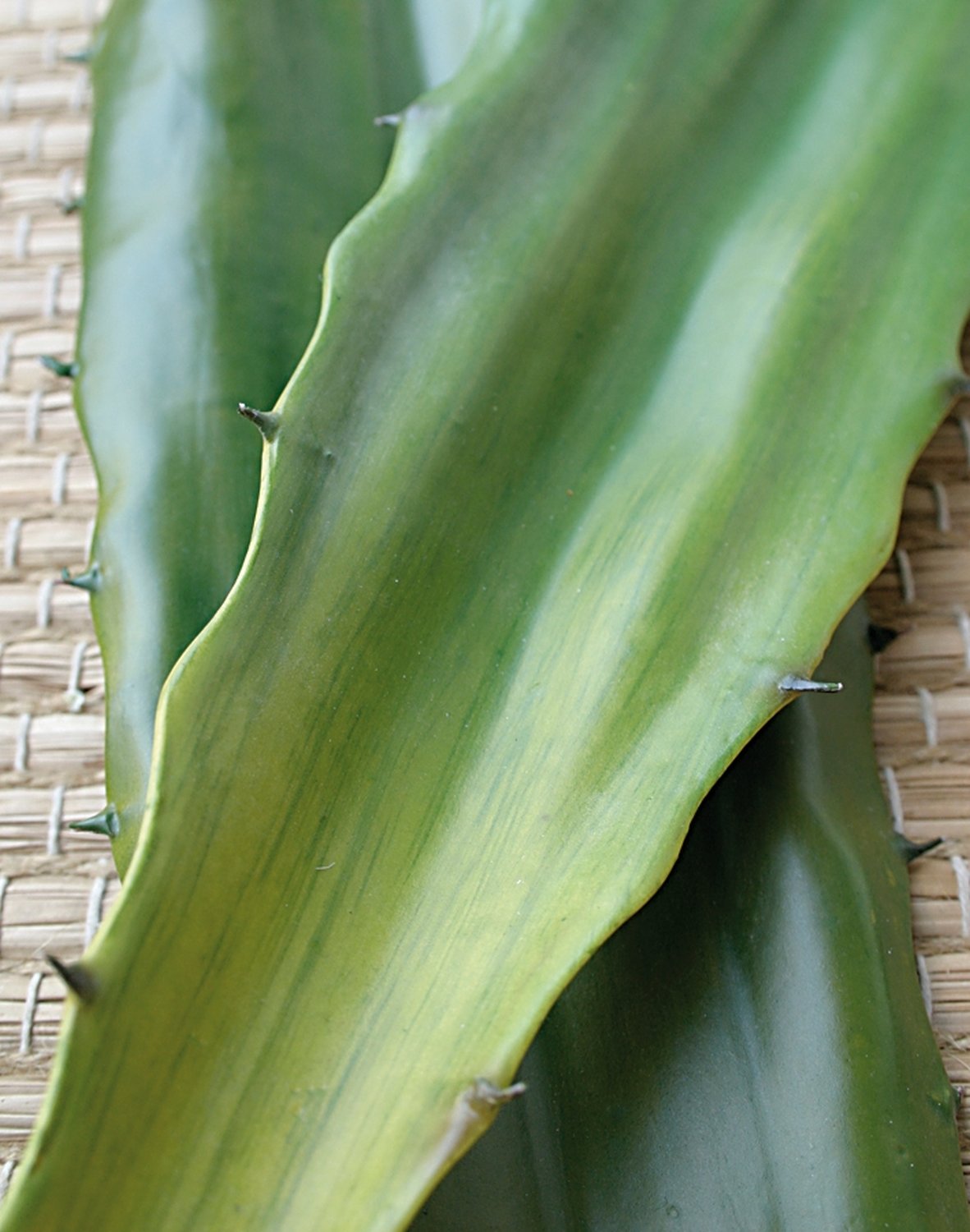 Künstliche Aloe Vera Blatt, 60 cm, grün