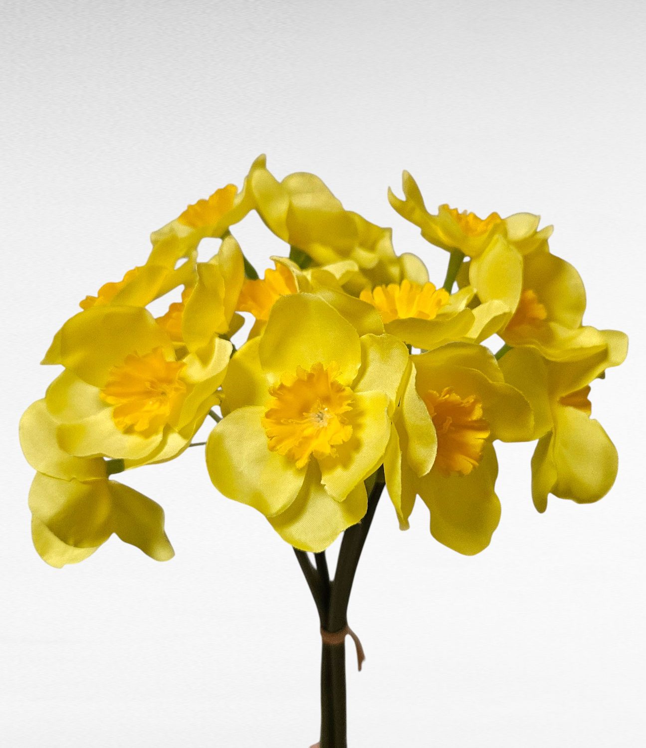 Kunst Narzissenbund 'Tête-à-Tête', 4 Stück, 30 cm, hellgelb