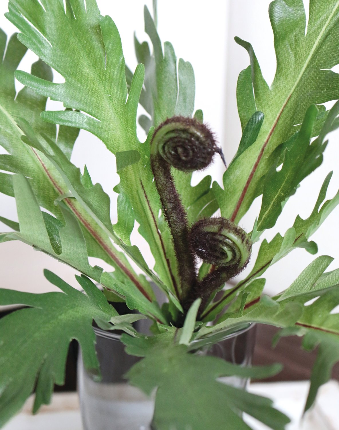 Artificial nest fern, 30 cm, green
