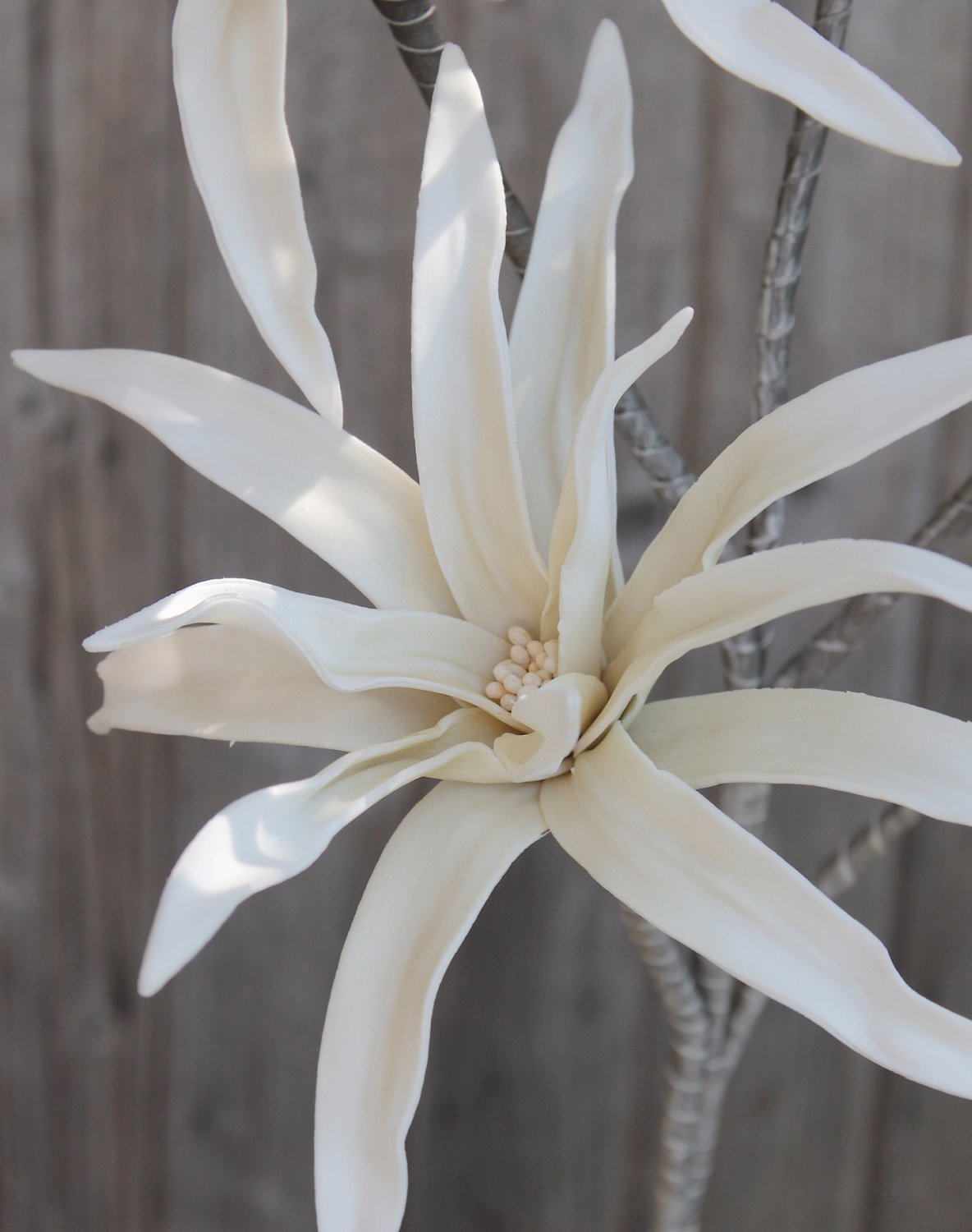 Künstliche Soft flower 'exotic', 5 Blüten, 115 cm, pur weiß