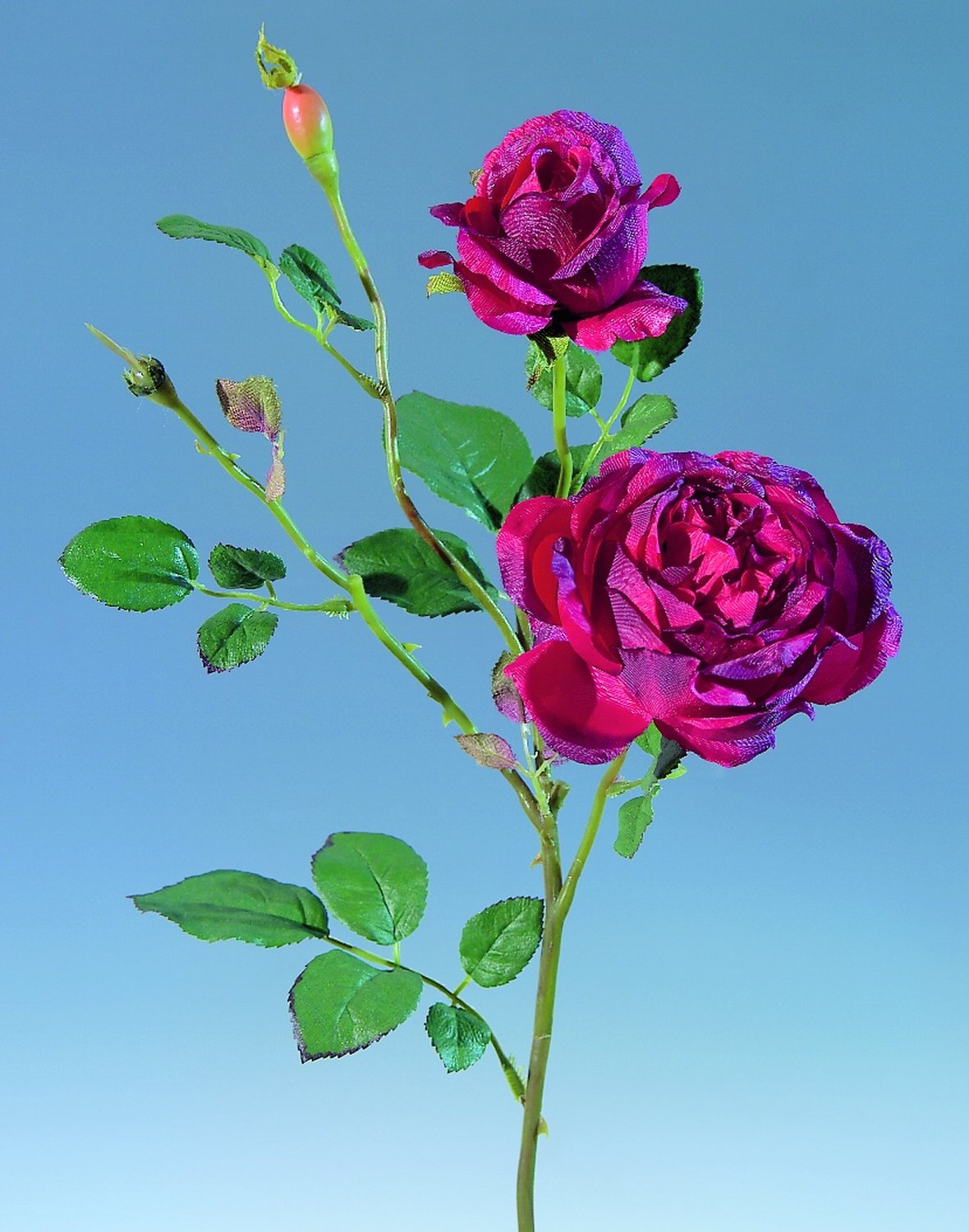 CosyCaya Blumenstifte – 24 Stück, 0,5 Mm, Schwarze Tinte, Mit Kunstblumen (Rose, Gänseblümchen Etc.) – Für Büro & Party