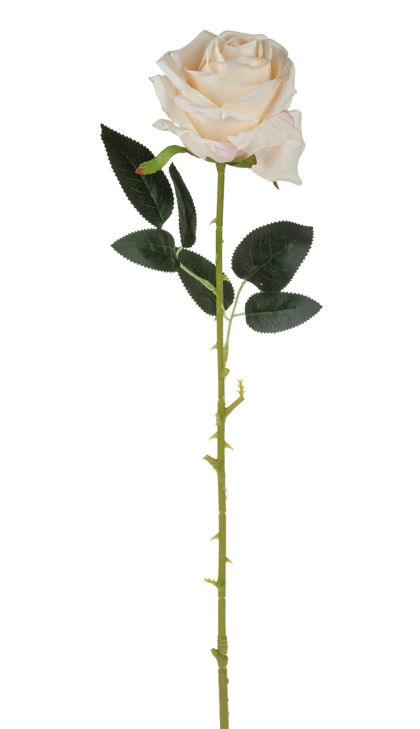 Rose geeist gefrostet Frost Seidenblume Kunstblume 60 cm weiß creme 125502-40 F6 