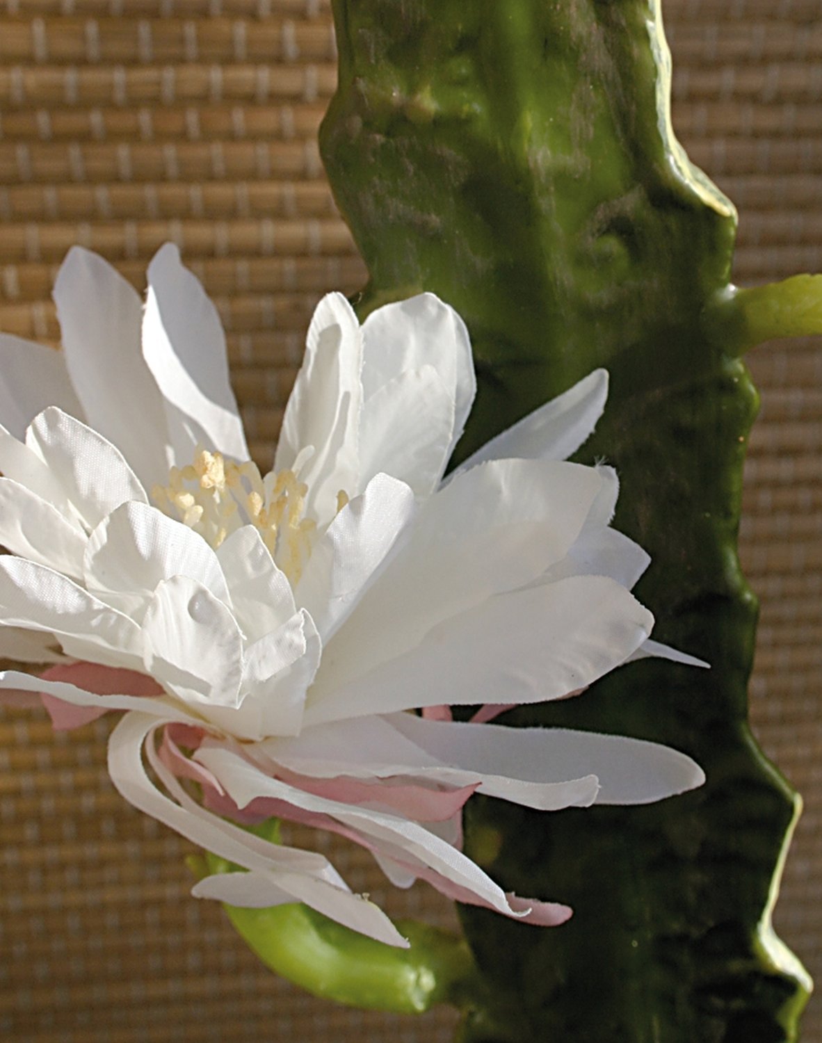 Artificial large-flowered cactus, 52 cm, beige-white