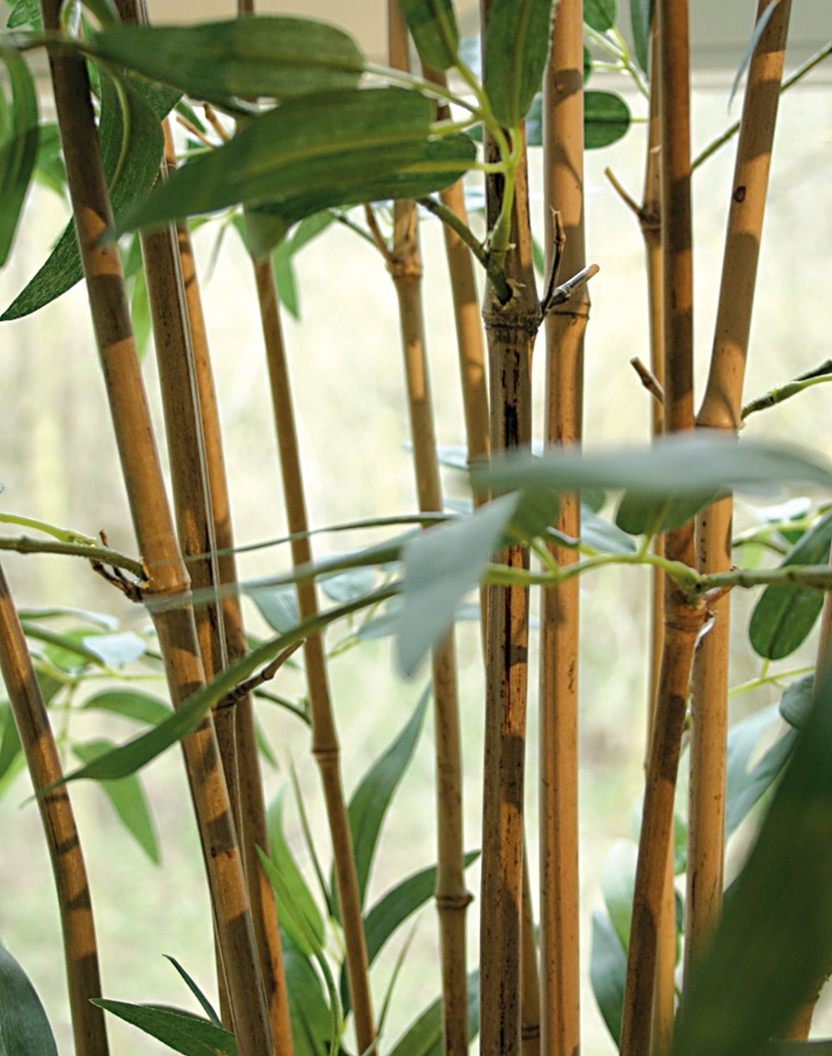 Künstlicher Bambus, getopft, 15-fach, 1950 Blätter, 210 cm, grün