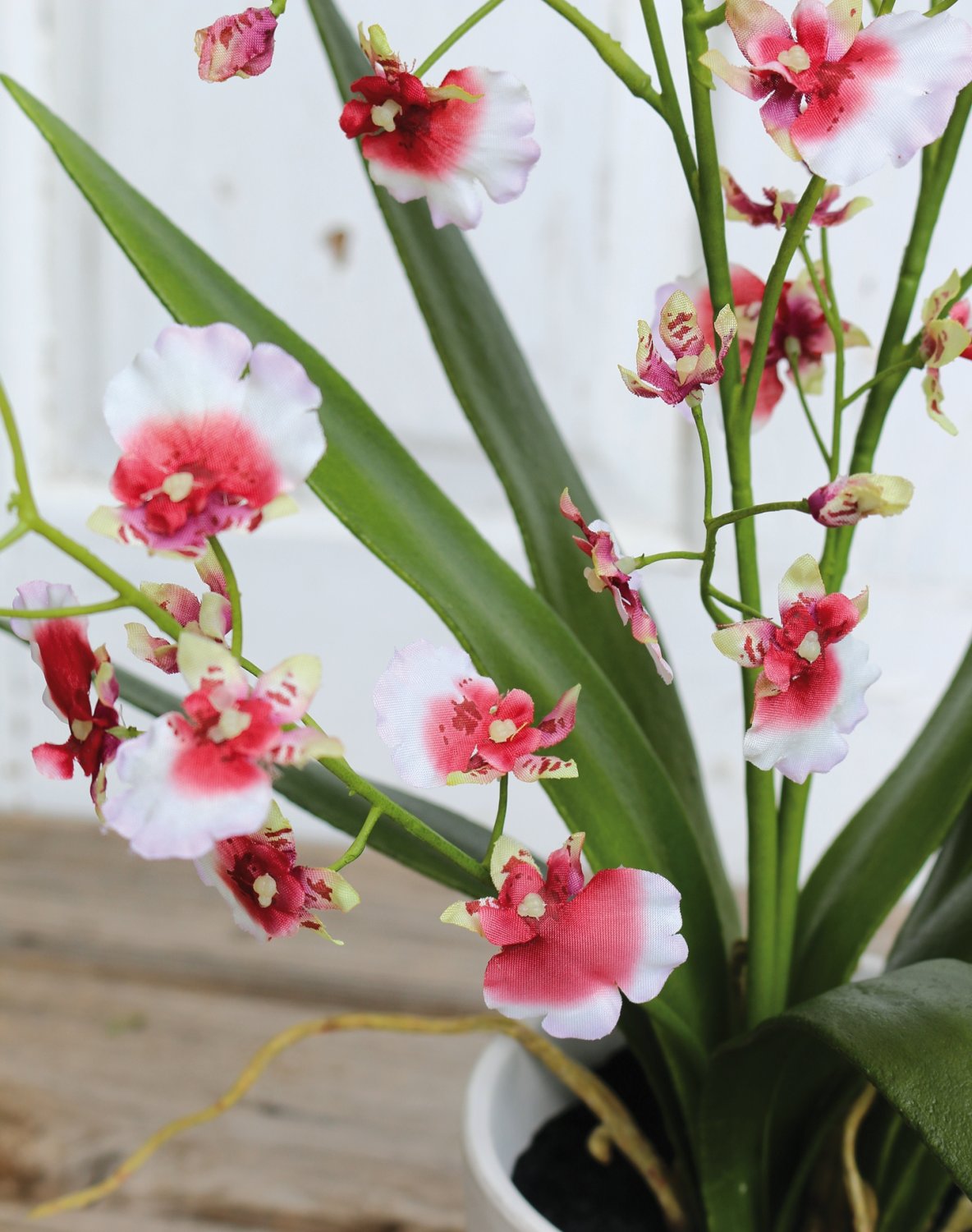 Orchidea Oncidium artificiale, in vaso, 74 cm, bianco-rosso