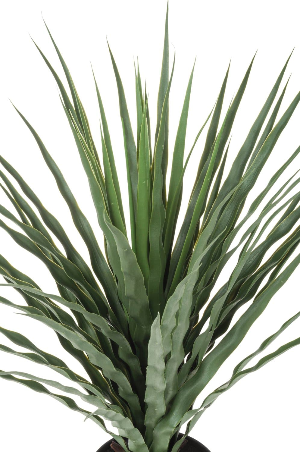 Aloe artificiale, in vaso, 75 cm, verde