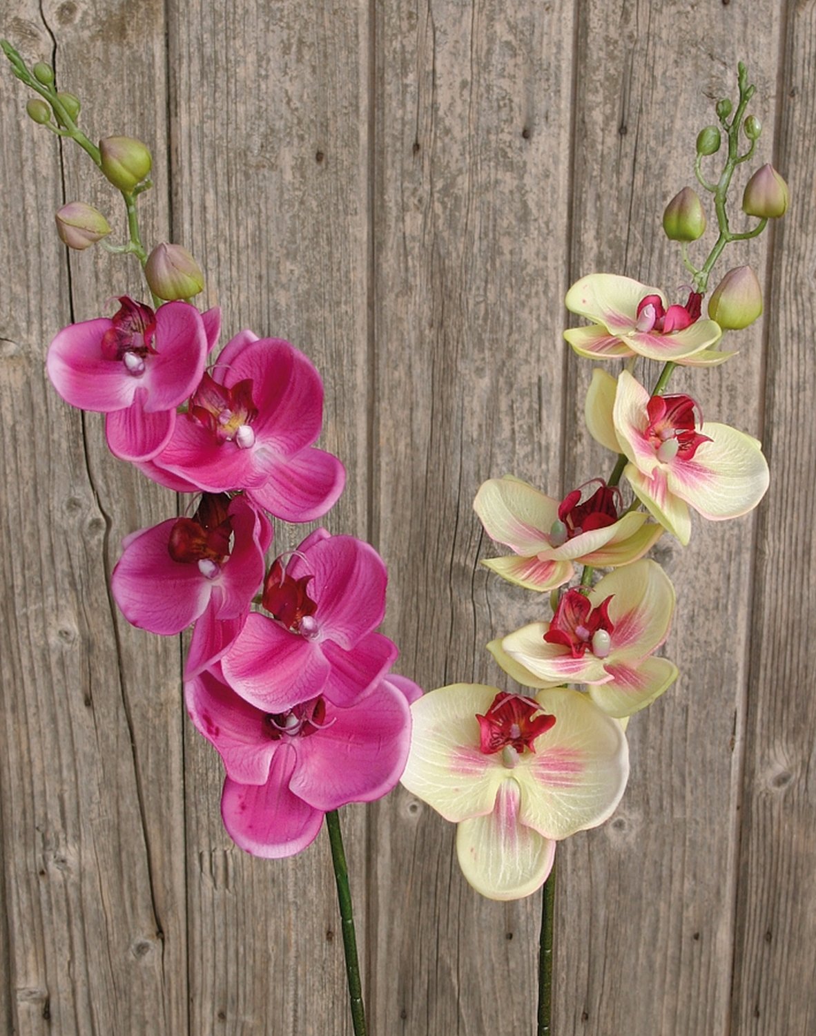 Künstliche Orchidee Phalaenopsis, 92 cm, Real Touch, grün-burgunderrot