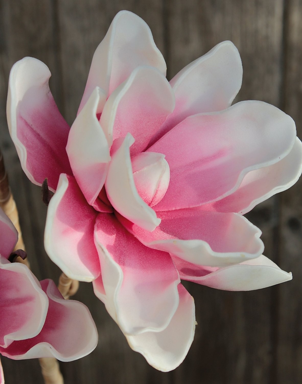 Artificial soft flower 'magnolia', 112 cm, pink-white