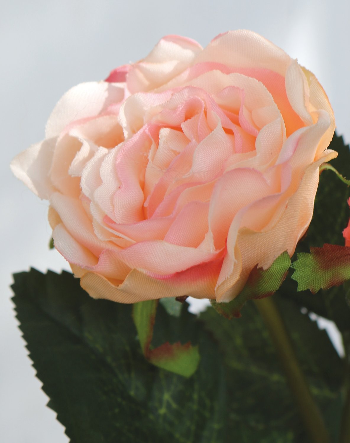 Rosa artificiale, 1 fiore, 1 bocciolo, 30 cm, albicocca