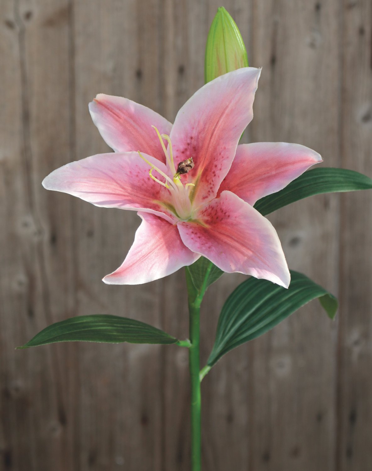 Silk lily, 45 cm, pink