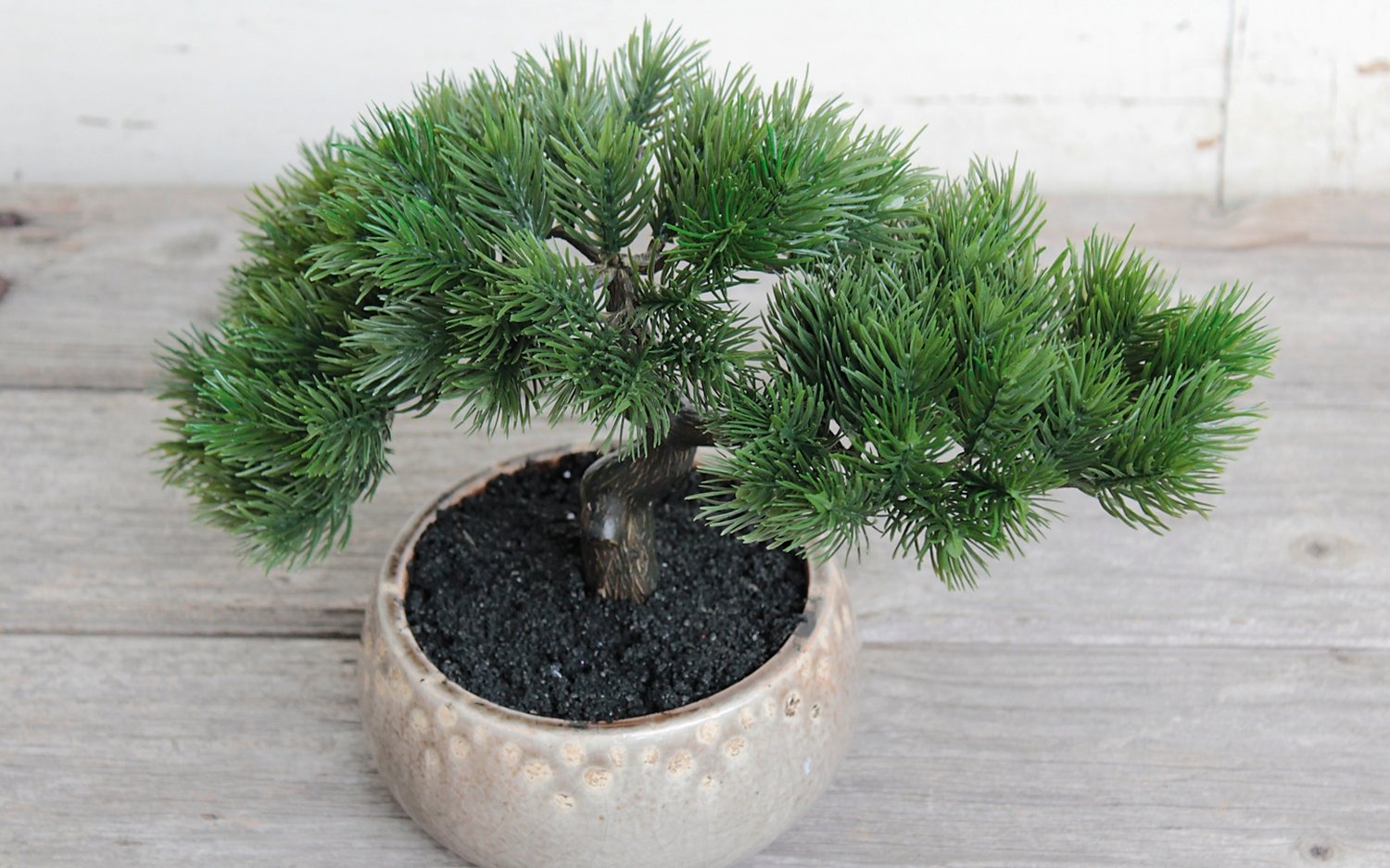 Künstliche Bonsai-Konifere in Keramiktopf, 23 cm, grün