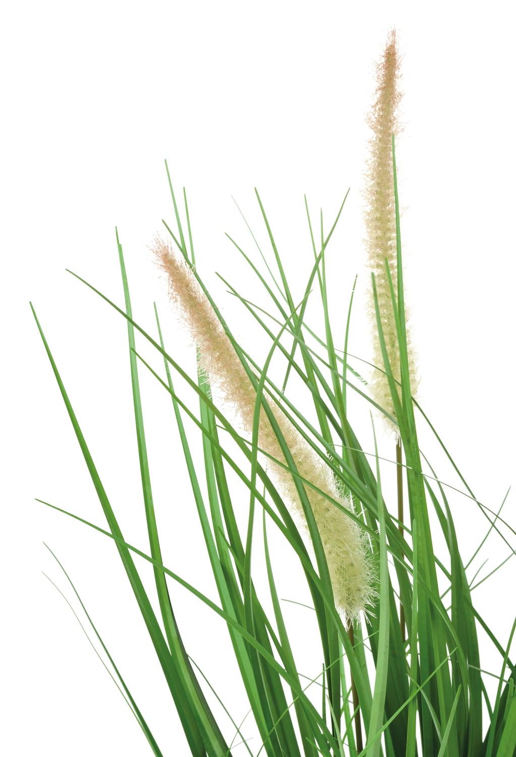 Artificial grass tuft 'Lampbush Grass', potted, 50 cm, green