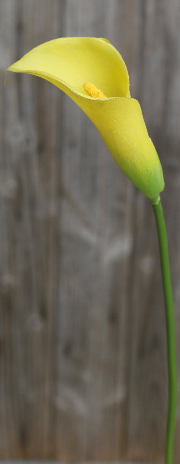Künstliche Calla aus Kunststoff, 65 cm, gelb
